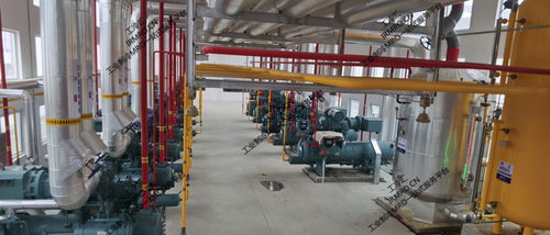 工冷匯紀(jì)實 東北某肉聯(lián)廠約克壓縮機組節(jié)能升級