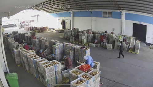 雙十一 ,徐州人是這樣過(guò)的